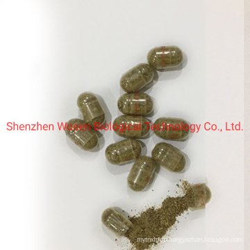 Ginseng Kianpi Pil Herbal Weight Pills Supplements